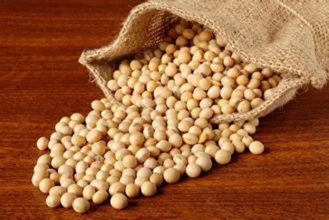 what suppliers for soybeans are like
